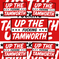 Tamworth Only Fools Inspired FAN Football ULTRA Stickers X25