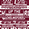 Chelmsford Only Fools Inspired FAN Football ULTRA Stickers X25