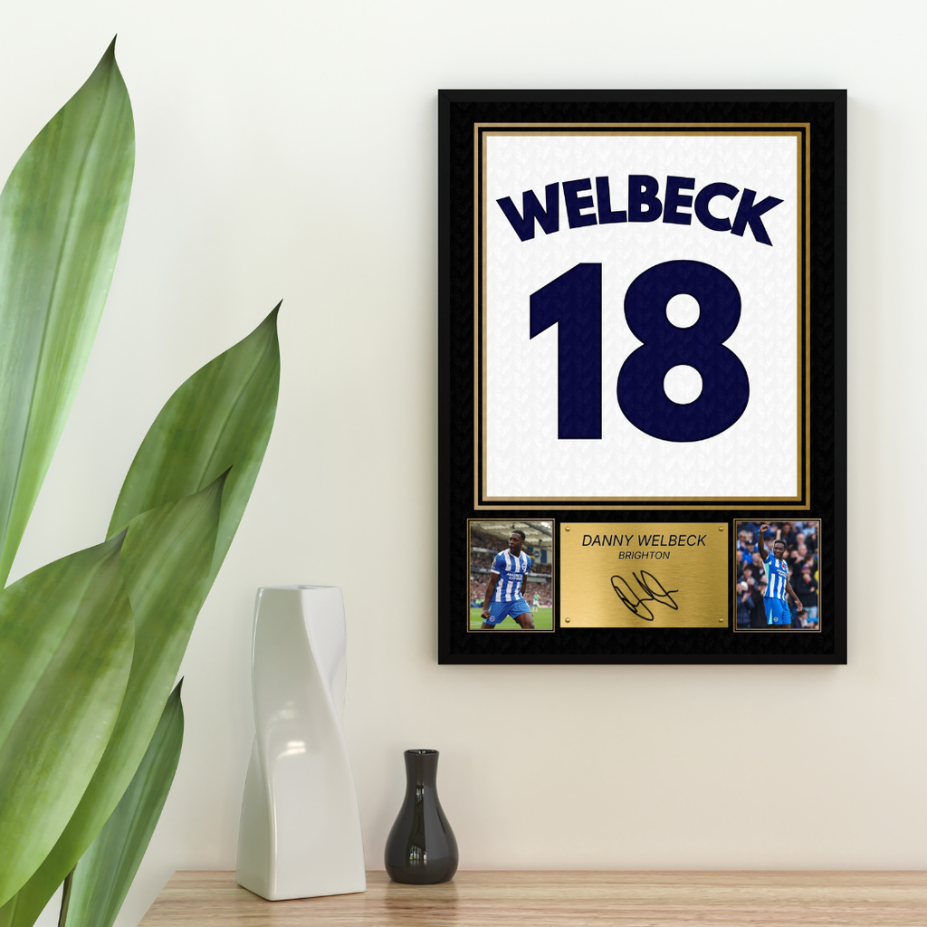 Danny Welbeck Brighton Printed Autograph Picture