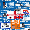 Peterborough Inspired FAN Football ULTRA Stickers X50
