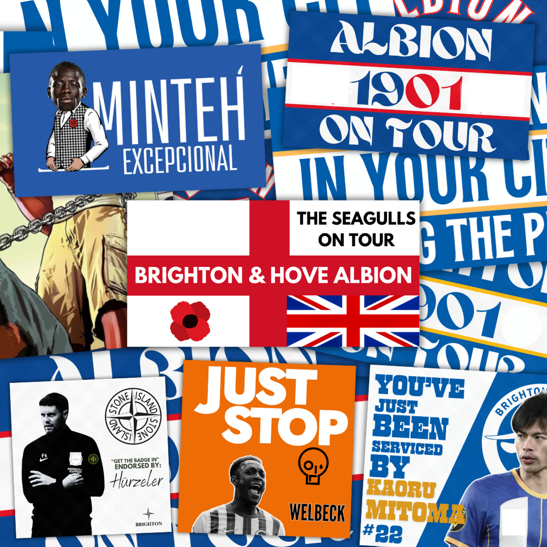 Brighton Inspired FAN Football ULTRA Stickers X50