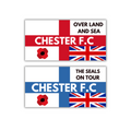 Chester Inspired FAN Football ULTRA Stickers X30