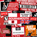 Bournemouth Inspired FAN Football ULTRA Stickers X50
