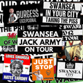 Swansea Inspired FAN Football ULTRA Stickers X50
