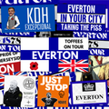 Everton Inspired FAN Football ULTRA Stickers X50