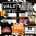 Port Vale Inspired FAN Football ULTRA Stickers X50