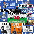 Cardiff Inspired FAN Football ULTRA Stickers X50