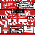 Crawley Inspired FAN Football ULTRA Stickers X25