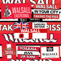 Walsall Inspired FAN Football ULTRA Stickers X25