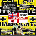 Harrogate Inspired FAN Football ULTRA Stickers X25