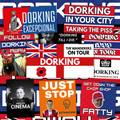 Dorking Inspired FAN Football ULTRA Stickers X50
